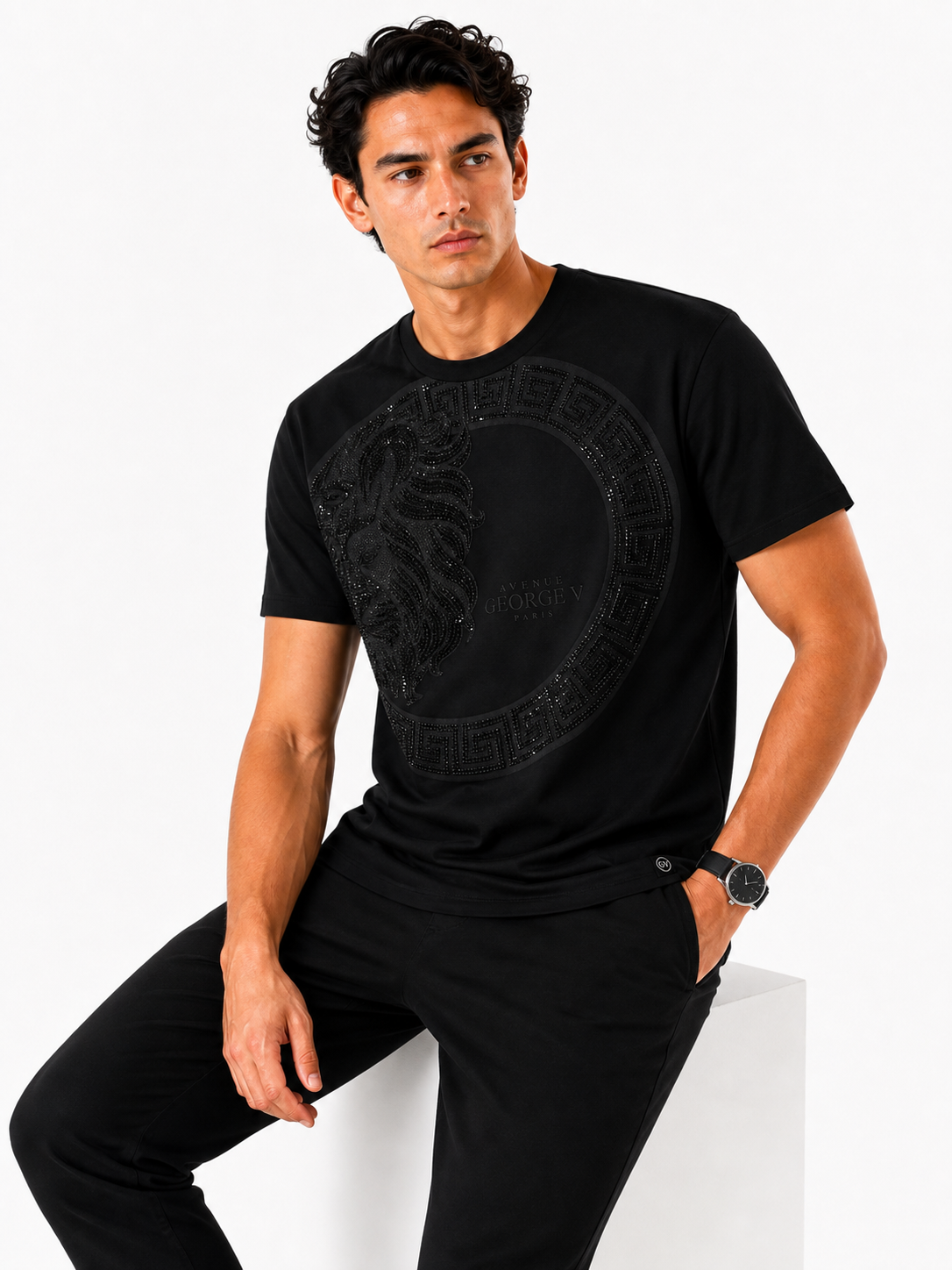 George V Tonal Lion Short Sleeve T-Shirt - Black - back - pending-row09-tonal-lion-alt-pose-ai-bg-white.png